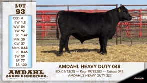Lot #93 - AMDAHL HEAVY DUTY 048