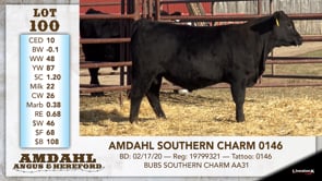 Lot #100 - AMDAHL SOUTHERN CHARM 0146