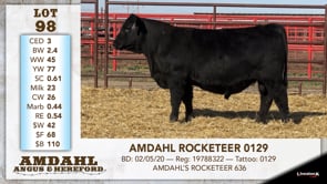Lot #98 - AMDAHL ROCKETEER 0129