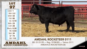 Lot #97 - AMDAHL ROCKETEER 0111