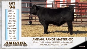 Lot #94 - AMDAHL RANGE MASTER 050