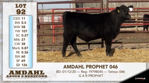 Lot #92 - AMDAHL PROPHET 046