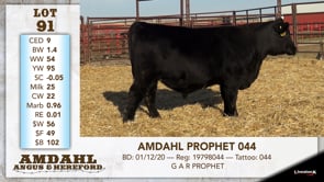 Lot #91 - AMDAHL PROPHET 044