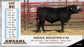 Lot #90 - AMDAHL ROCKETEER 0154