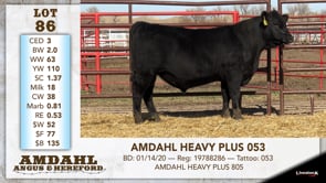 Lot #86 - AMDAHL HEAVY PLUS