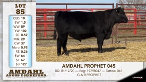 Lot #85 - AMDAHL PROPHET 045