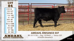 Lot #84 - AMDAHL ENHANCE 037