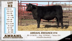 Lot #83 - AMDAHL ENHANCE 014