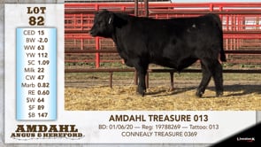 Lot #82 - AMDAHL TREASURE 013