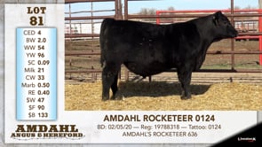 Lot #81 - AMDAHL ROCKETEER 0134