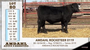 Lot #80 - AMDAHL ROCKETEER 0119