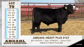 Lot #79 - AMDAHL HEAVY PLUS 0127