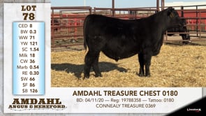 Lot #78 - AMDAHL TREASURE CHEST 0180