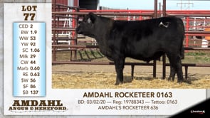 Lot #77 - AMDAHL ROCKETEER 0163