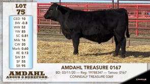 Lot #75 - AMDAHL TREASURE 0167