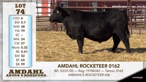 Lot #74 - AMDAHL ROCKETEER 0162