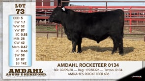 Lot #73 - AMDAHL ROCKETEER 0134