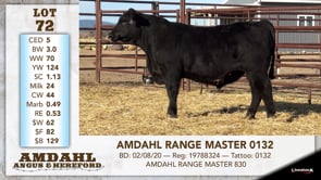 Lot #72 - AMDAHL RANGE MASTER 0132