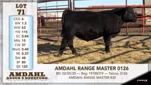 Lot #71 - AMDAHL RANGE MASTER 0126