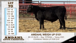 Lot #70 - AMDAHL WEIGH UP 0101