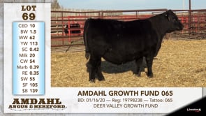 Lot #69 - AMDAHL GROWTH FUND 065