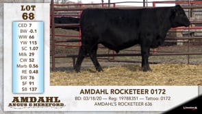 Lot #68 - AMDAHL ROCKETEER 0172