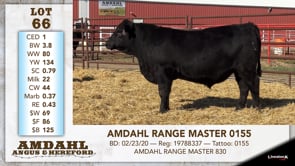 Lot #66 - AMDAHL RANGE MASTER 0155