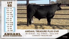 Lot #65 - AMDAHL TREASURE PLUS 0149