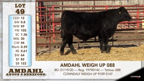 Lot #49 - AMDAHL WEIGH UP 088