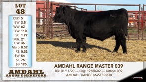 Lot #48 - AMDAHL RANGE MASTER 039