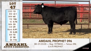 Lot #47 - AMDAHL PROPHET 096