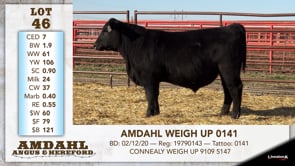 Lot #46 - AMDAHL WEIGH UP 0141
