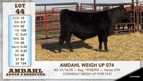 Lot #44 - AMDAHL WEIGH UP 074