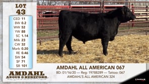 Lot #43 - AMDAHL ALL AMERICAN 067
