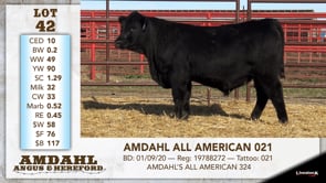 Lot #42 - AMDAHL ALL AMERICA 021