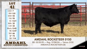 Lot #41 - AMDAHL ROCKETEER 0150