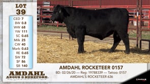 Lot #39 - AMDAHL ROCKETEER 0157