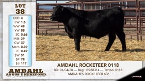 Lot #38 - AMDAHL ROCKETEER 0118