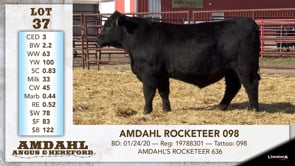 Lot #37 - AMDAHL ROCKETEER 098