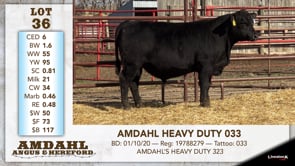 Lot #36 - AMDAHL HEAVY DUTY 033