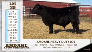 Lot #35 - AMDAHL HEAVY DUTY 001