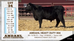 Lot #34 - AMDAHL HEAVY DUTY 004