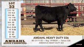 Lot #33 - AMDAHL HEAVY DUTY 036
