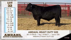 Lot #32 - AMDAHL HEAVY DUTY 020