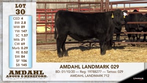 Lot #30 - AMDAHL LANDMARK 029