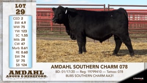 Lot #29 - AMDAHL SOUTHERN CHARM 078