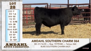Lot #28 - AMDAHL SOUTHERN CHARM 064