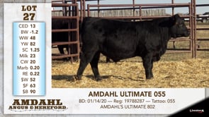 Lot #27 - AMDAHL ULTIMATE 055