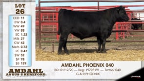Lot #26 - AMDAHL PHOENIX 040 -OUT-
