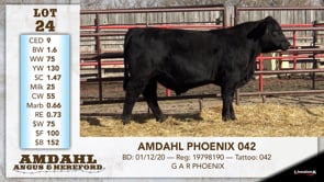 Lot #24 - AMDAHL PHOENIX 042